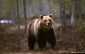 Bild des Benutzers Steve